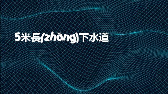 5米長(zhǎng)下水道疏通神器（5米長(zhǎng)下水道疏通神器圖片）