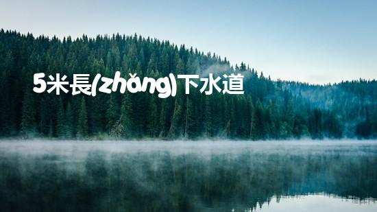 5米長(zhǎng)下水道疏通神器（下水道疏通器家用幾米）