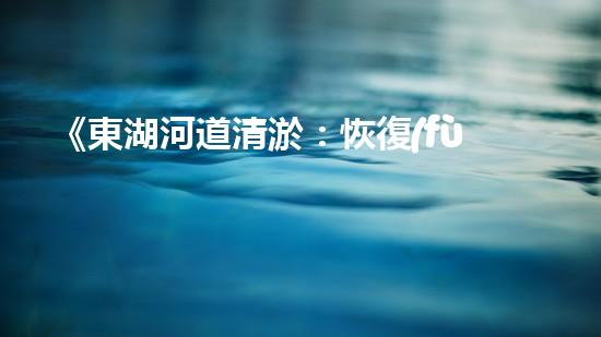 《東湖河道清淤：恢復(fù)水域生態(tài)，保障城市安全》