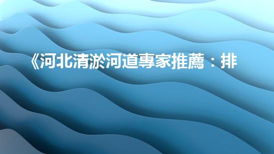 《河北清淤河道專家推薦：排名最好的清淤公司大揭秘！》