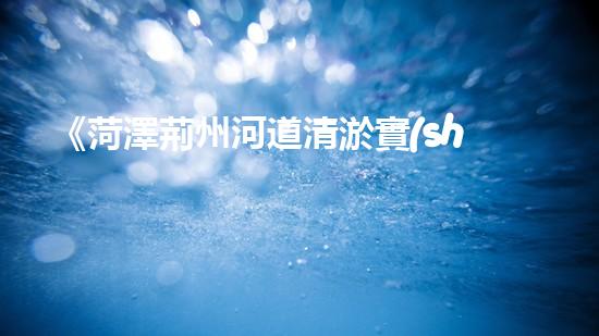 《菏澤荊州河道清淤實(shí)踐：為城市生態(tài)打開(kāi)清道新篇章》