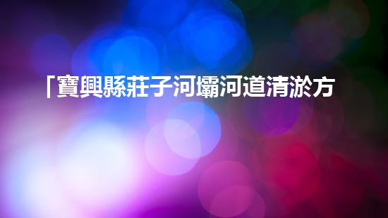 「寶興縣莊子河壩河道清淤方案」