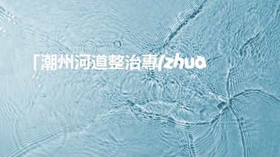 「潮州河道整治專(zhuān)家分享清淤技巧」