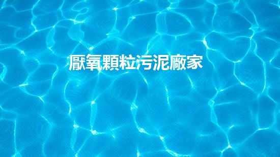 厭氧顆粒污泥廠家