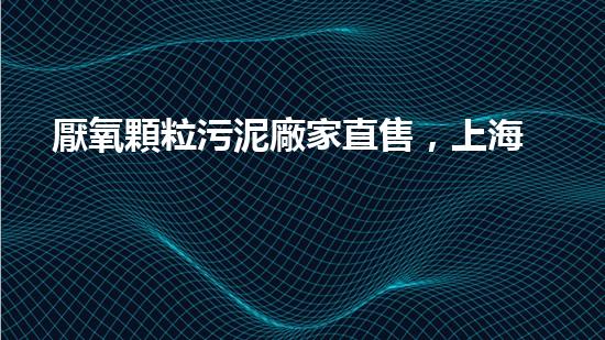 厭氧顆粒污泥廠家直售，上海府悅