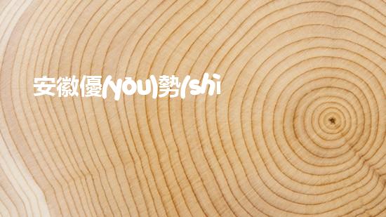 安徽優(yōu)勢(shì)管道清淤設(shè)備清淤設(shè)備的以后進(jìn)展與應(yīng)用前景探討