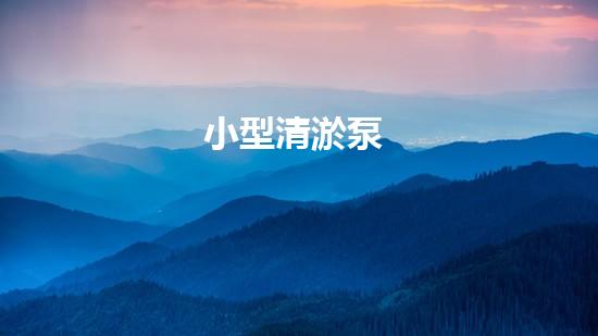 小型清淤泵