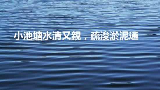 小池塘水清又親，疏浚淤泥通民心
