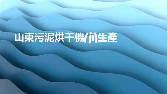 山東污泥烘干機(jī)生產(chǎn)廠家