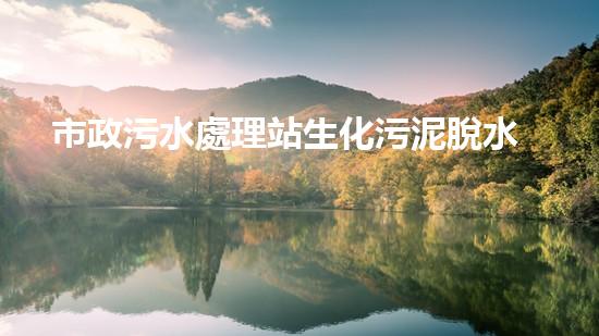 市政污水處理站生化污泥脫水案例