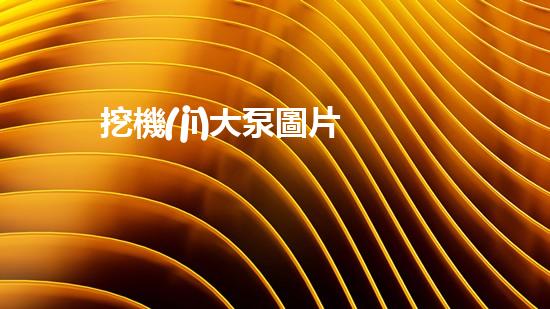 挖機(jī)大泵圖片