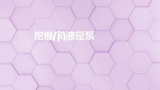 挖機(jī)液壓泵