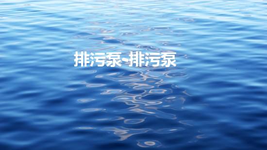 排污泵-排污泵