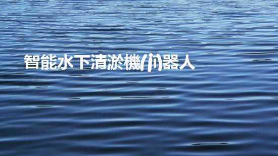 智能水下清淤機(jī)器人系統(tǒng)與結(jié)構(gòu)