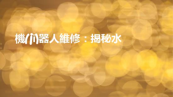 機(jī)器人維修：揭秘水道機(jī)器人的神奇技術(shù)，你真的了解它們嗎？