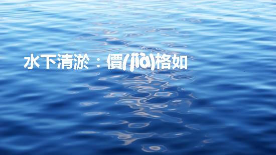 水下清淤：價(jià)格如何算？