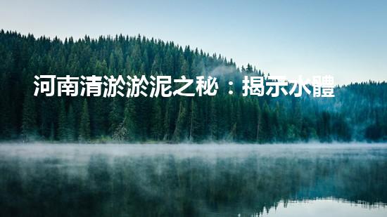 河南清淤淤泥之秘：揭示水體底層的隱藏真相！
