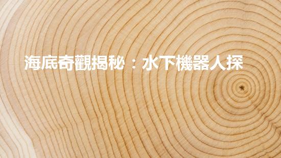 海底奇觀揭秘：水下機器人探索深海寶藏！