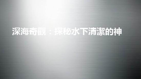 深海奇觀：探秘水下清潔的神秘世界！