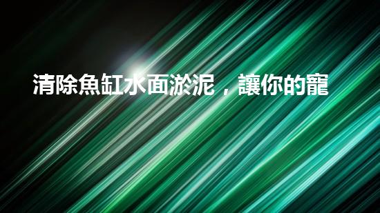 清除魚缸水面淤泥，讓你的寵物魚兒呼吸更暢快！