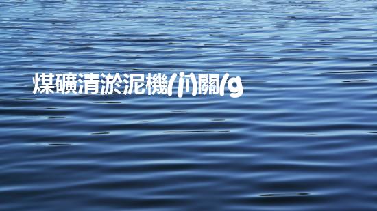 煤礦清淤泥機(jī)關(guān)鍵時(shí)辰！如何應(yīng)對(duì)都市排水系統(tǒng)的征詢題？