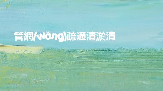 管網(wǎng)疏通清淤清淤工程中的秘密技術(shù)揭秘你不明白的施工技巧和留意事項(xiàng)！