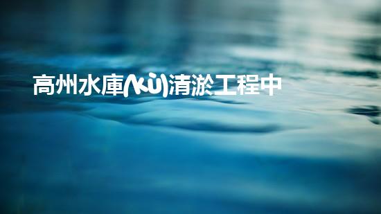 高州水庫(kù)清淤工程中標(biāo)公示清淤工程的秘密：如何高效處理水體污染征詢題？