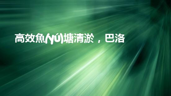 高效魚(yú)塘清淤，巴洛仕設(shè)備助力生態(tài)養(yǎng)殖