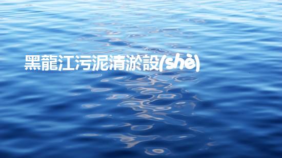黑龍江污泥清淤設(shè)備安裝污泥處理新技術(shù)揭秘與應(yīng)用探討